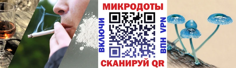 наркотики  Чегем  Галлюциногенные грибы MAGIC MUSHROOMS 
